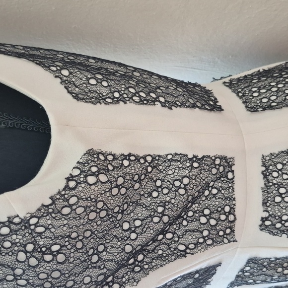 Bcbg Maxazria Rumor Dress White Black Lace Blocked Sheath Dress Size 8 - Picture 7 of 17
